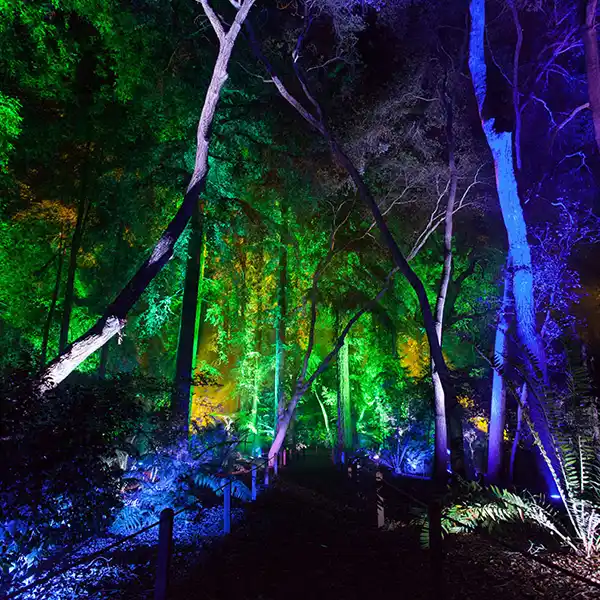 GRD5RGB Luminaria LED RGB Ecolite con estaca para jardín, iluminación ajustable y colorida para exteriores. Ecolite sas