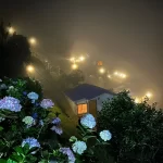 Reflector Solar LED para exteriores con panel solar, ideal para iluminación eficiente de jardines y patios