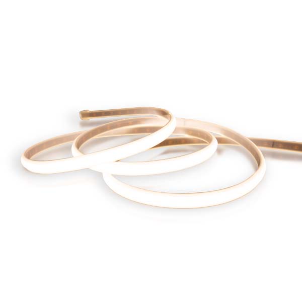 Ecolite S.A.S - Cinta Iluminación interior 10W/M STRCOB10G